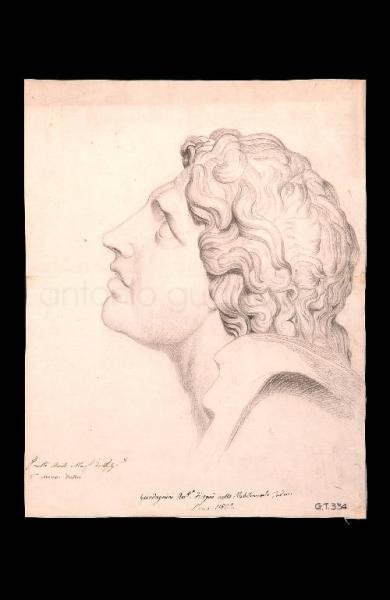 Studio di testa - 1835 - matita su carta, cm 40x30 - Lovere Accademia di Belle Arti Tadini